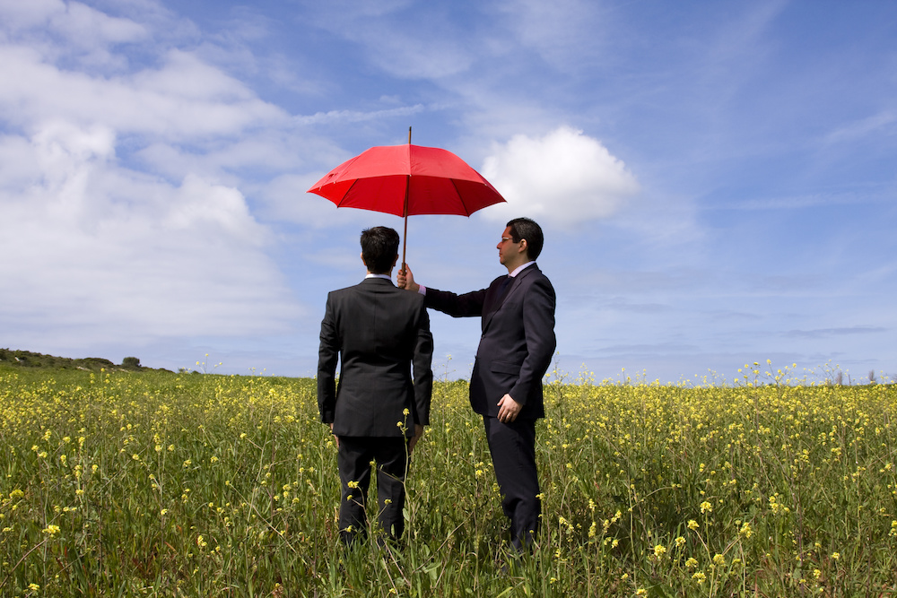 commercial umbrella insurance in Vidalia STATE | Reed Insurance