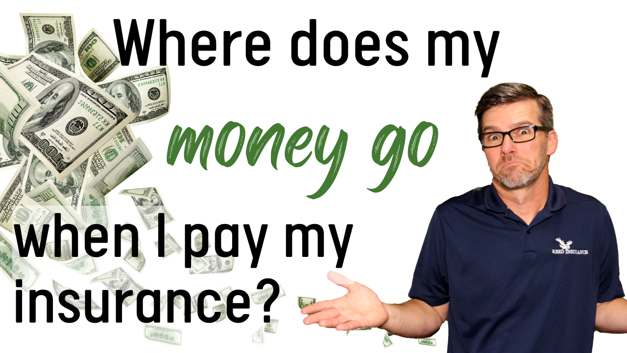 Where Does All That Premium Go? Reed Insurance