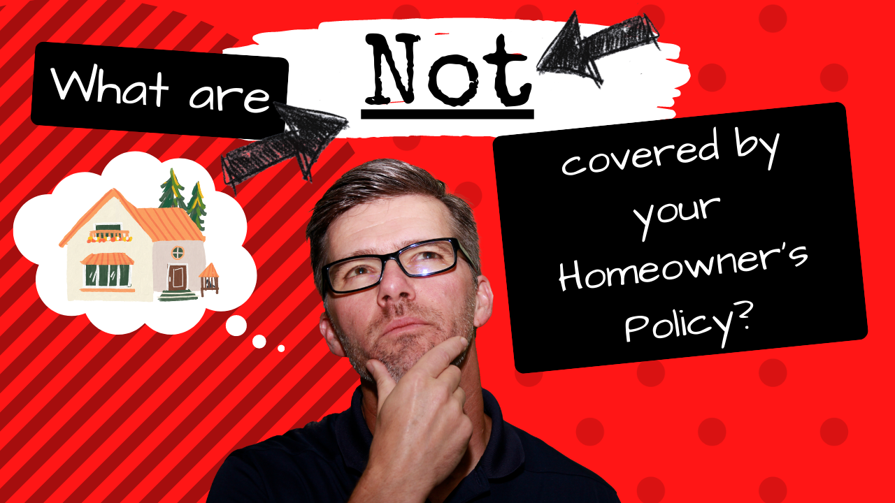 What Are NOT Covered By Your Homeowners Policy? Reed Insurance